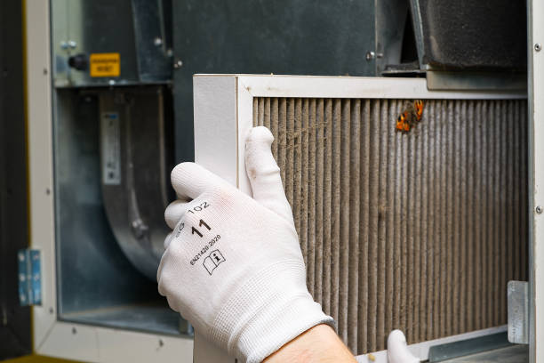 Best HVAC System Cleaning  in Rosend, LA